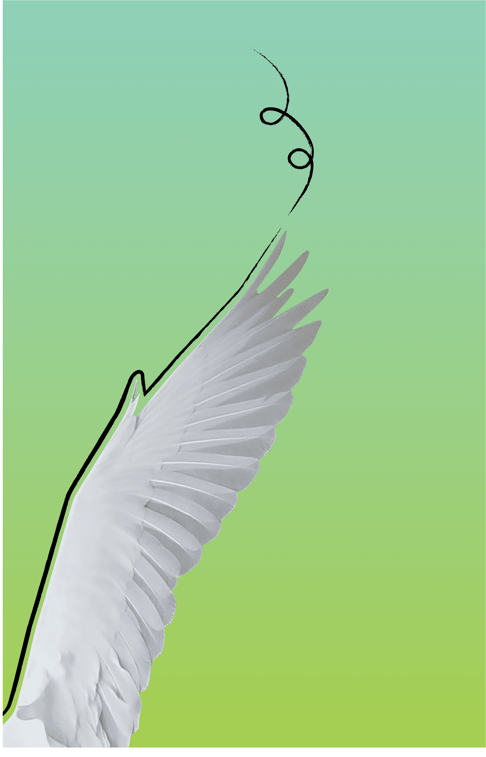 2019 - Indigenous Stories & Sexual Violence