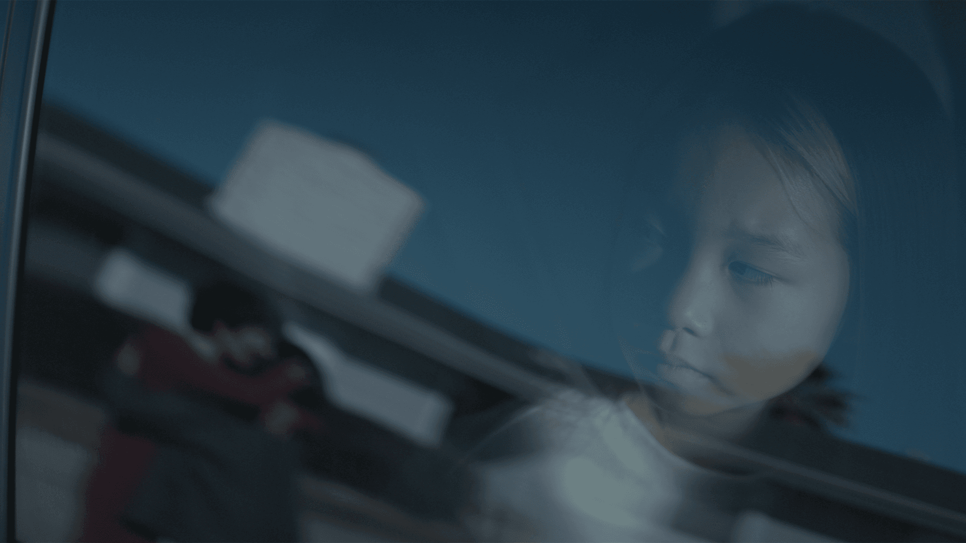 2024 - Cliques and Echo Chambers & Serious Mental Illness